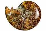 Polished, Agatized Ammonite (Cleoniceras) - Madagascar #110522-1
